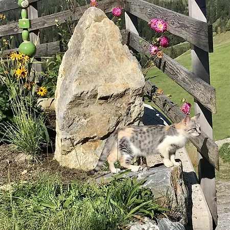 Mit Familienglueck Und Ofenwaerme Semesterbostad Sankt Johann im Pongau