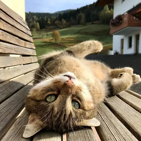 Mit Familienglueck Und Ofenwaerme * Sankt Johann im Pongau