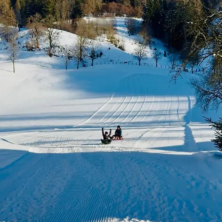 Mit Familienglueck Und Ofenwaerme 펜션