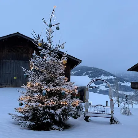 度假居 Mit Familienglueck Und Ofenwaerme 蓬高圣约翰