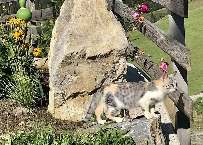 Mit Familienglueck Und Ofenwaerme Tatil Evi Sankt Johann im Pongau