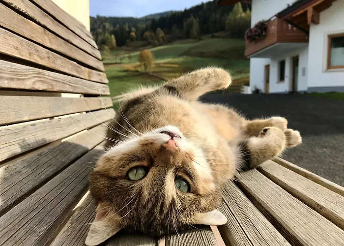 Mit Familienglueck Und Ofenwaerme * Sankt Johann im Pongau